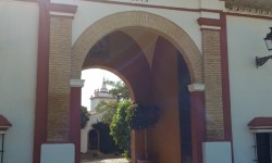 Atalaya Alta - Carmona (Sevilla)