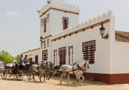 Hacienda San Felipe - Gerena (Sevilla)